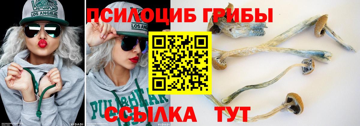 Псилоцибиновые грибы MAGIC MUSHROOMS  Псилоцибиновые грибы Cubensis  Вход с VPN  сколько стоит  Фролово 